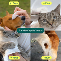 attitude-furry-friends-tiert-cher-unparf-miert-hund-katze image 4